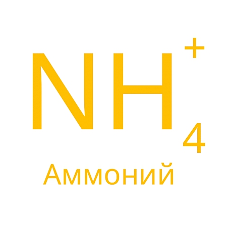 Аммоний